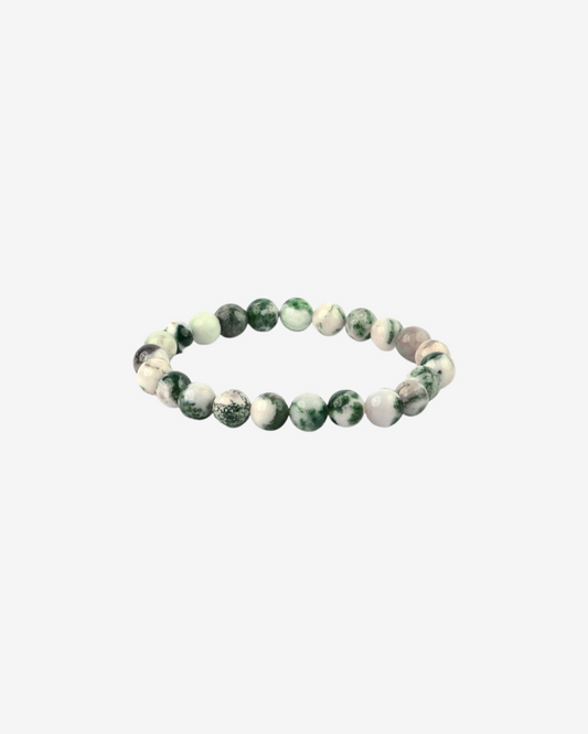 Tree Agate AAA Bracelet